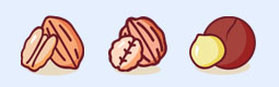 美味食物-干果坚果系列图标